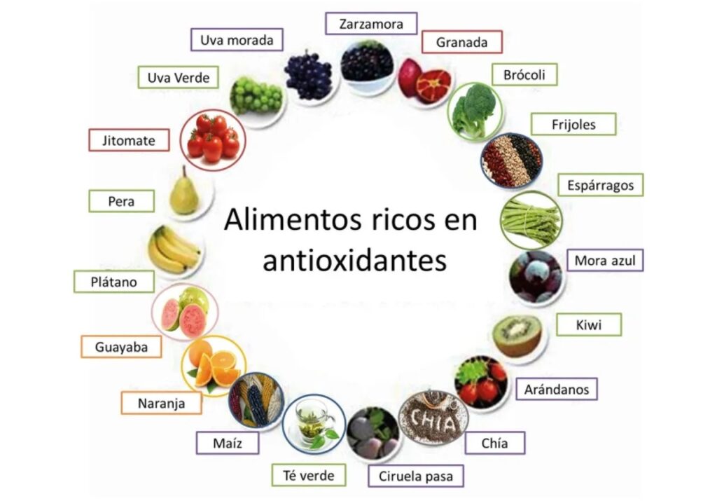 Suplementos antioxidantes. Alimentos para obtenerlos